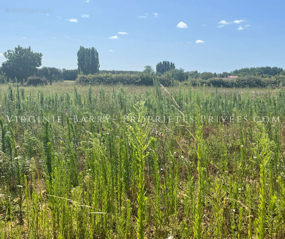 Terrain à TONNAY-CHARENTE