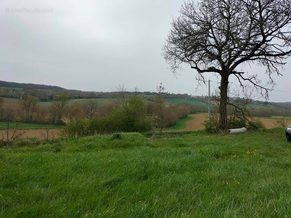 Terrain à SAINT-CLAR