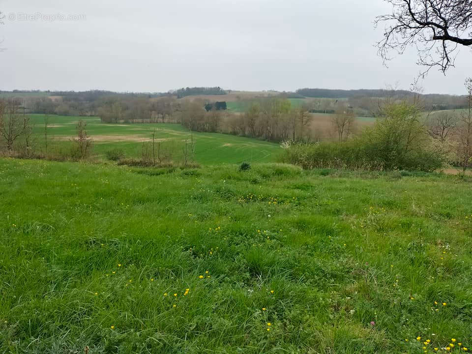 Terrain à SAINT-CLAR