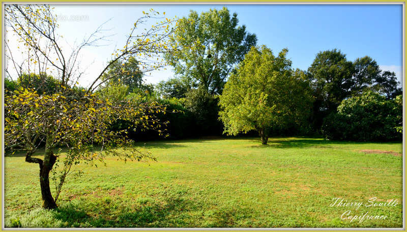 Terrain à BARON