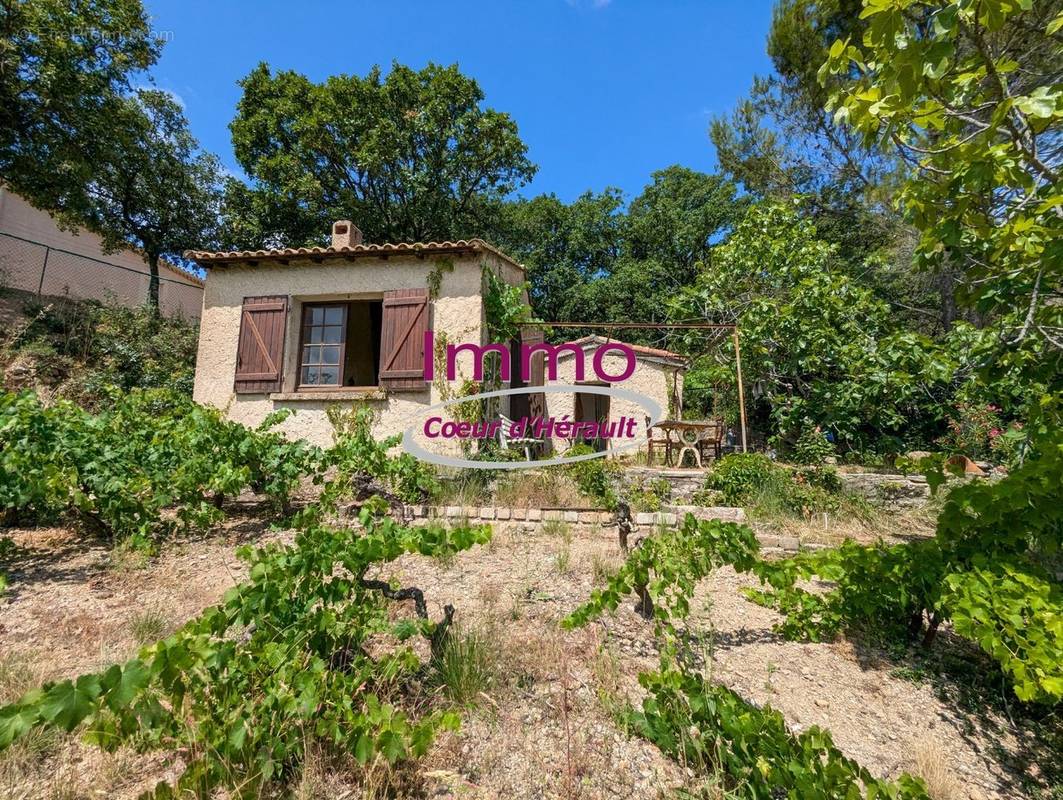 Maison à CLERMONT-L&#039;HERAULT