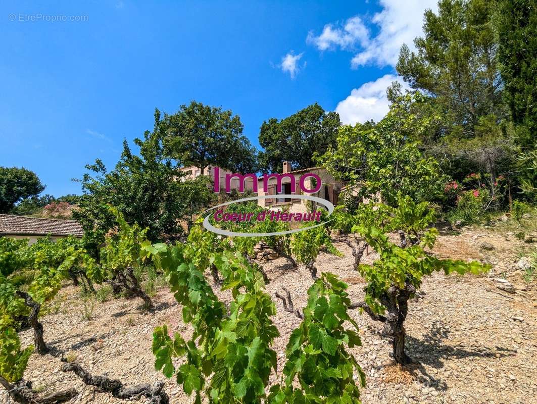 Maison à CLERMONT-L&#039;HERAULT