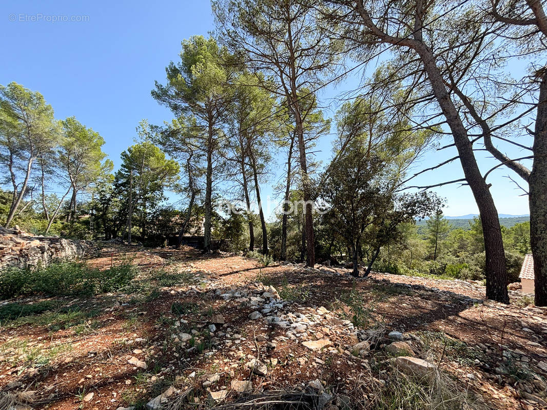 Terrain à LORGUES