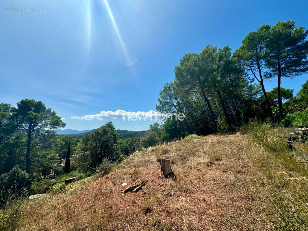 Terrain à TARADEAU