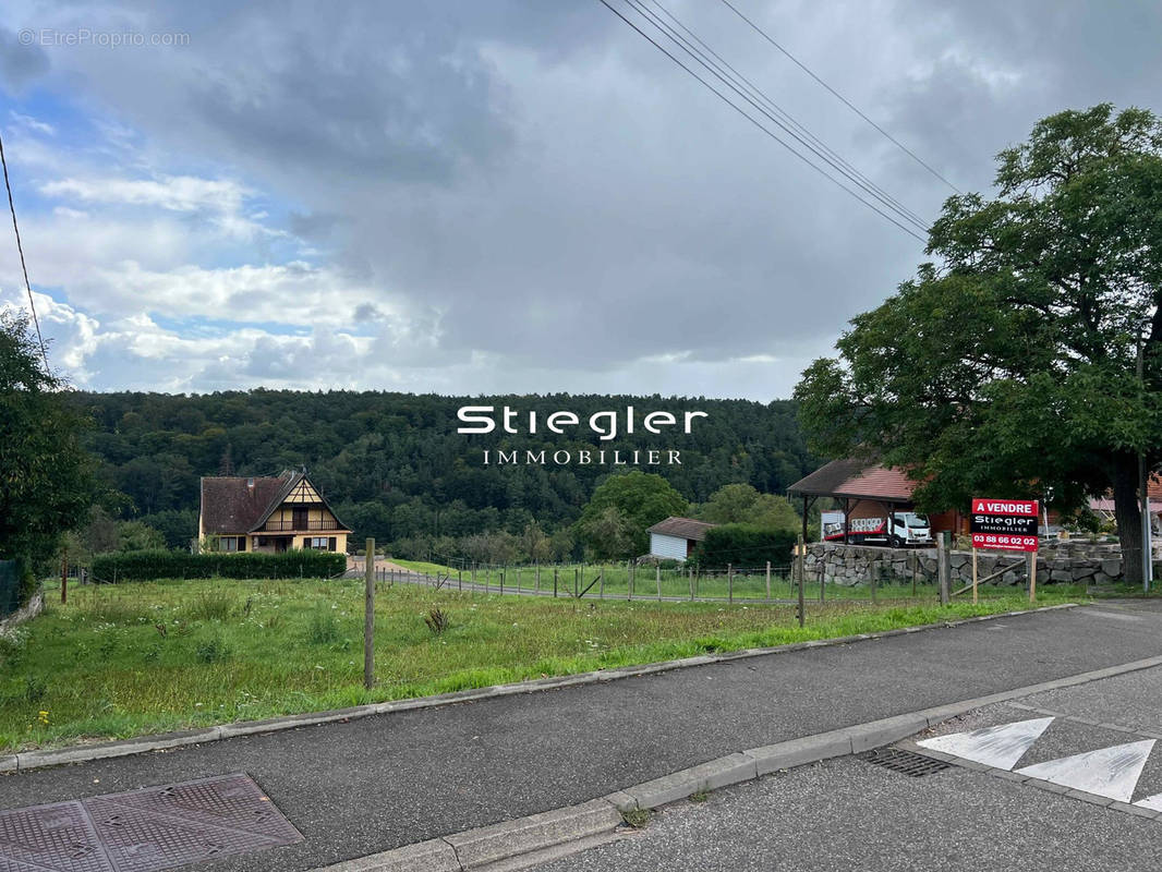 Terrain à MOLLKIRCH