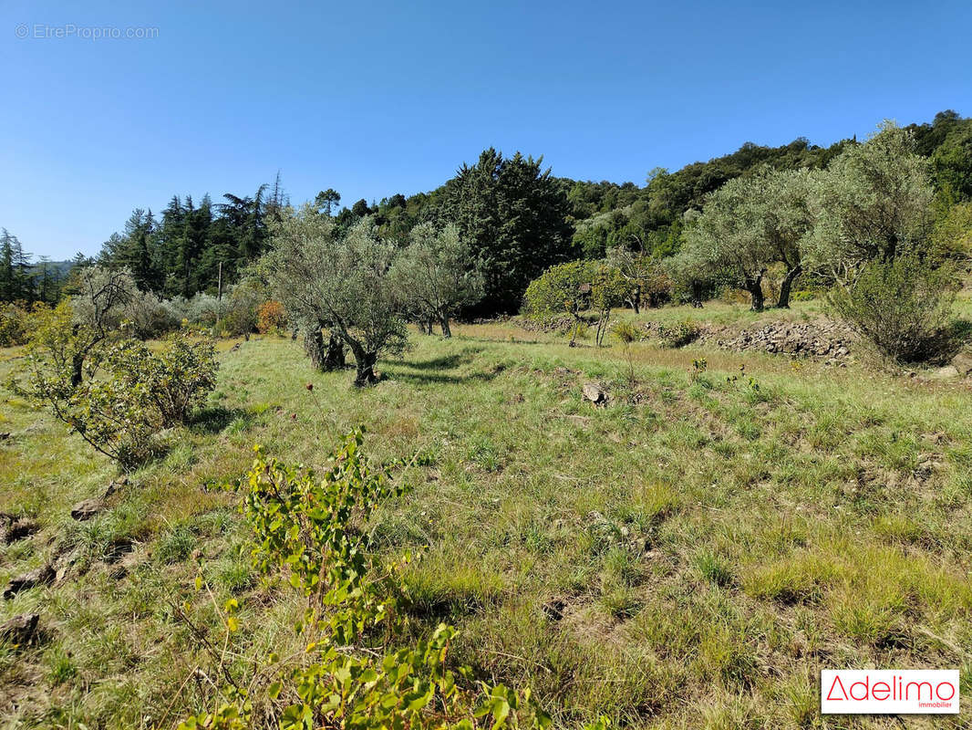 Terrain à ALES