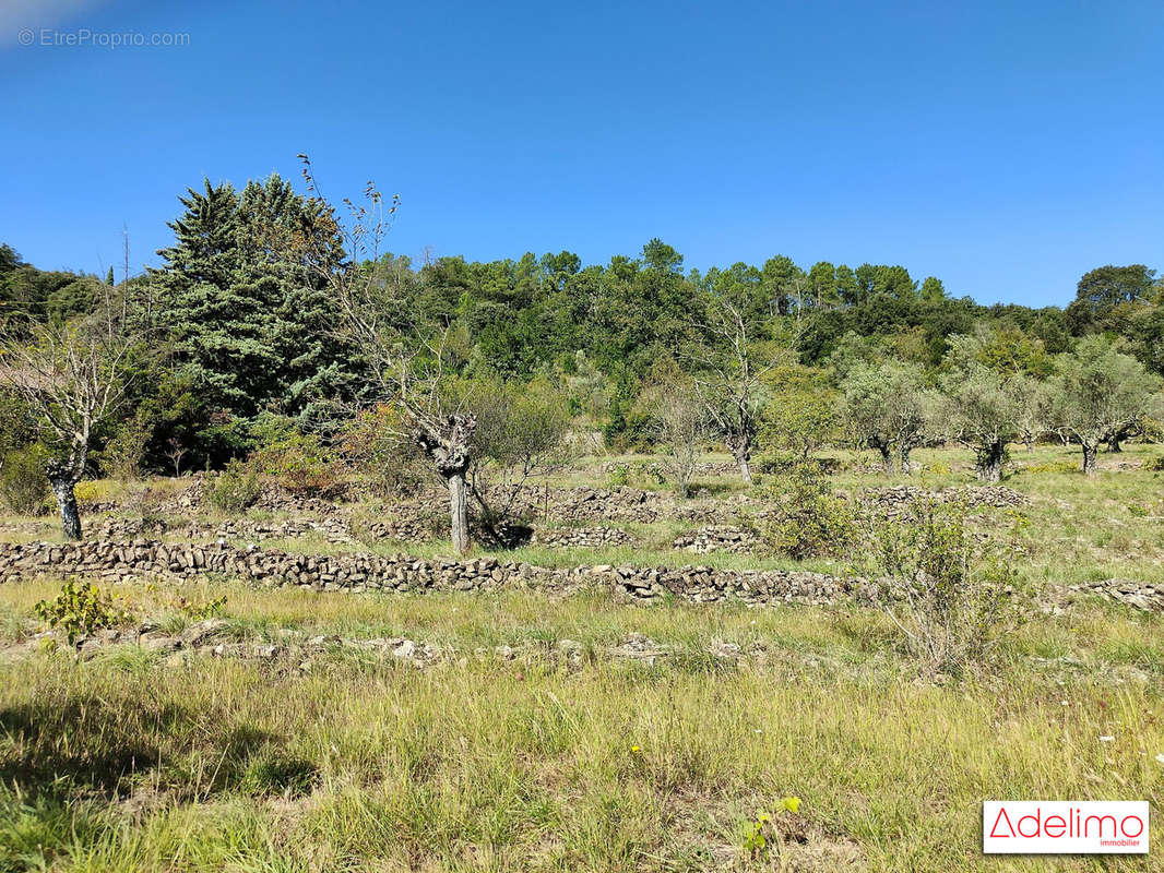 Terrain à SAINT-AMBROIX