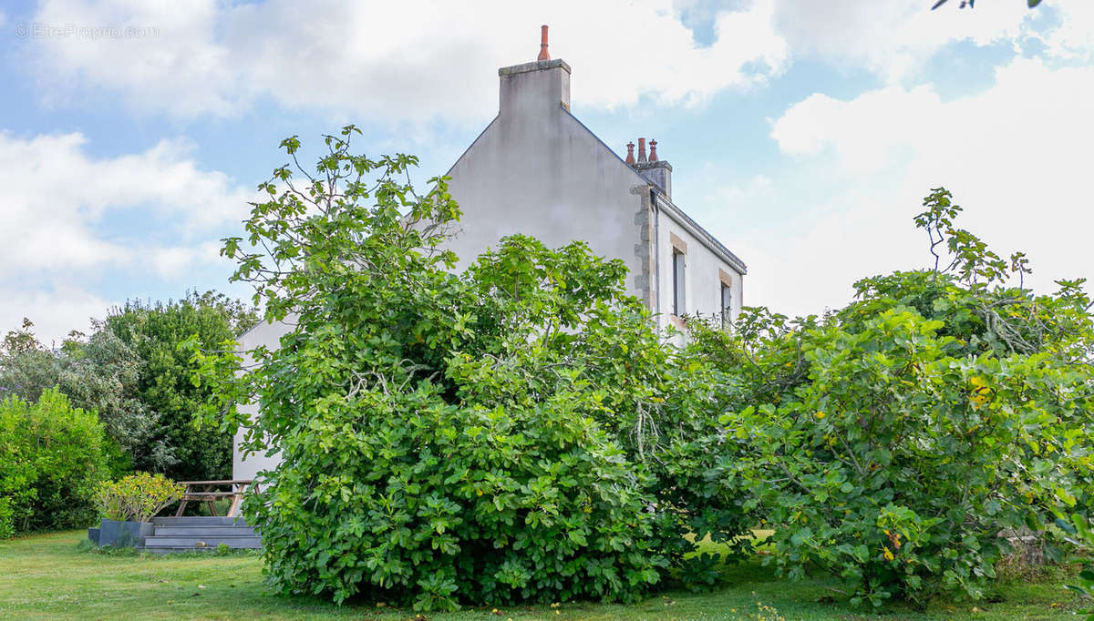 Maison à NEVEZ