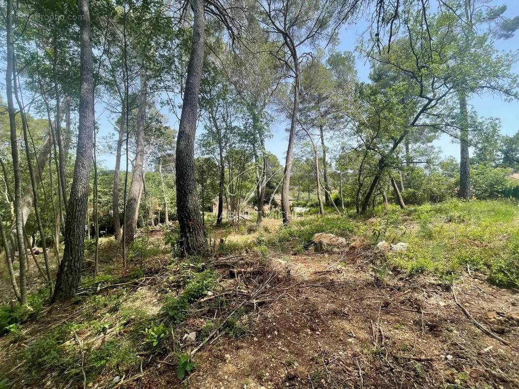 Terrain à ROQUEFORT-LES-PINS