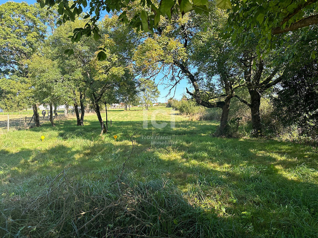 Terrain à PONT-SAINT-MARTIN