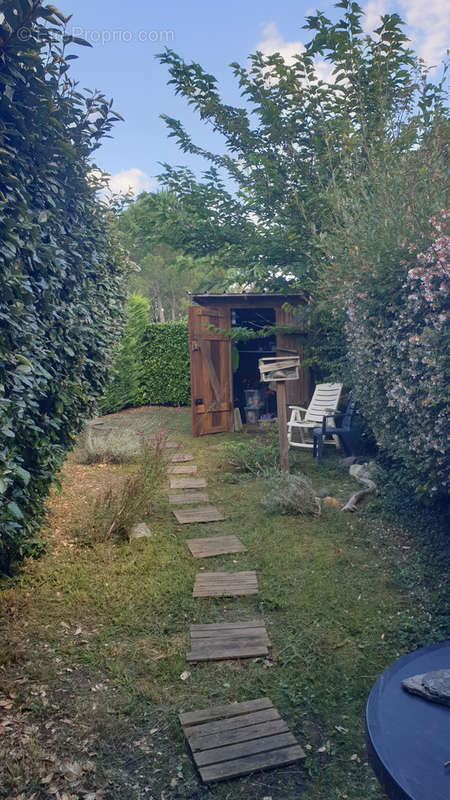 Appartement à SAINT-JULIEN-EN-BORN