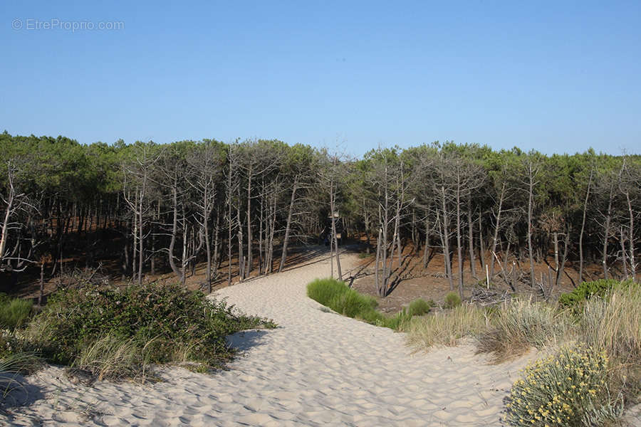 Commerce à BAYON-SUR-GIRONDE