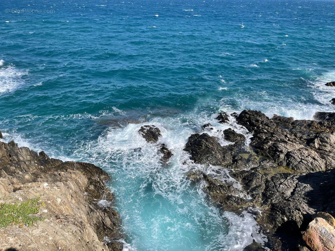 Appartement à COLLIOURE