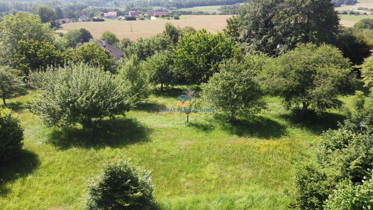 Terrain à SECENANS