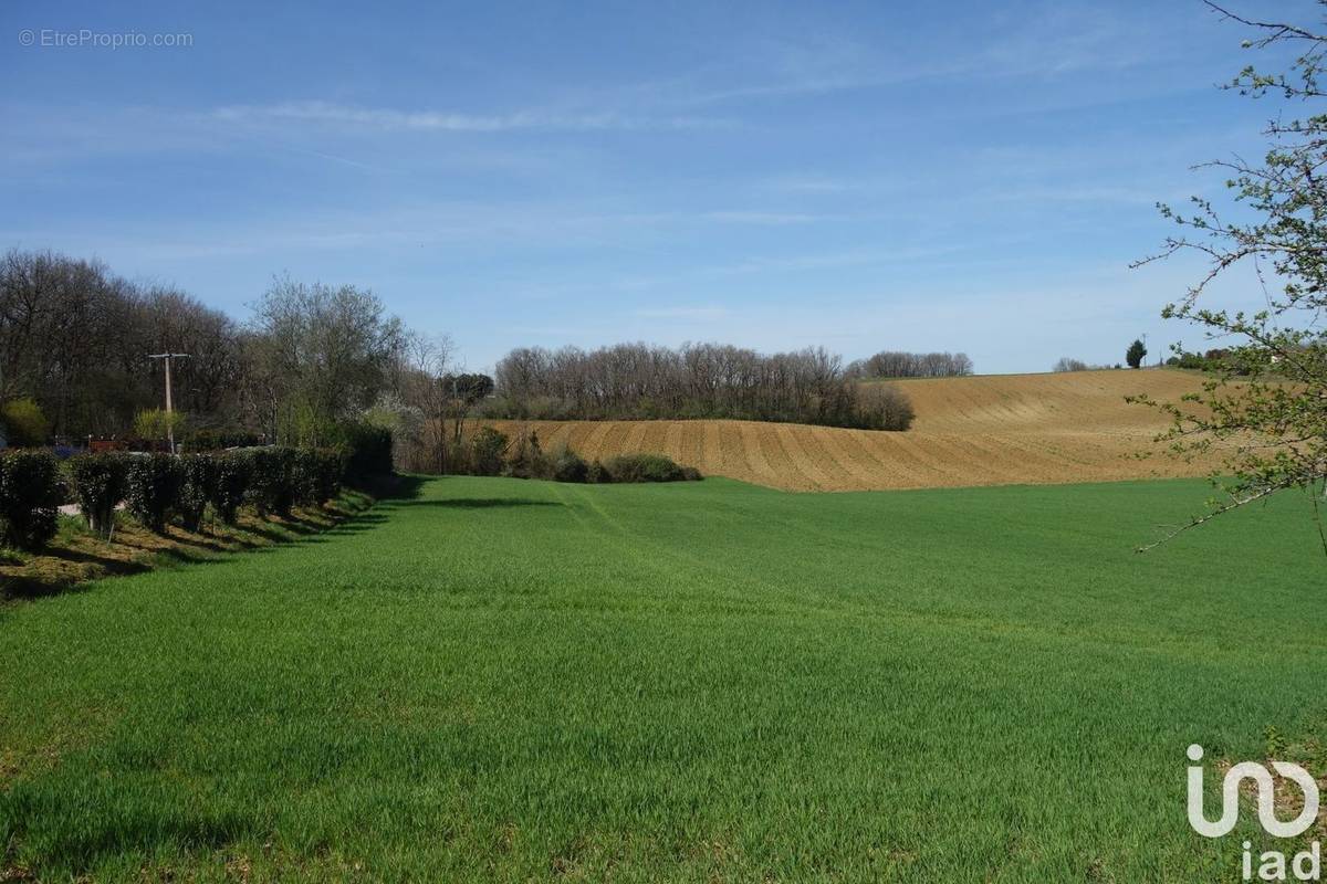 Photo 1 - Terrain à SAINT-JEAN-DE-THURAC