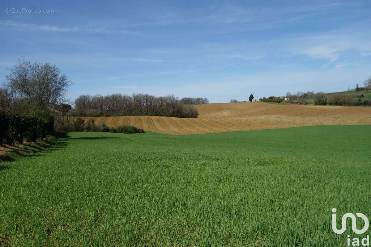 Photo 3 - Terrain à SAINT-JEAN-DE-THURAC