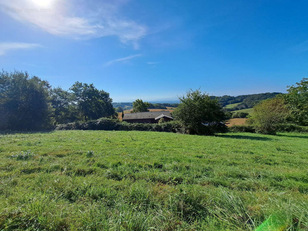 Terrain à SAUVETERRE-DE-BEARN