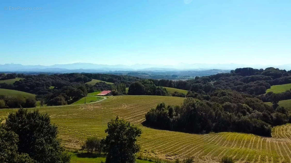 Terrain à SAUVETERRE-DE-BEARN