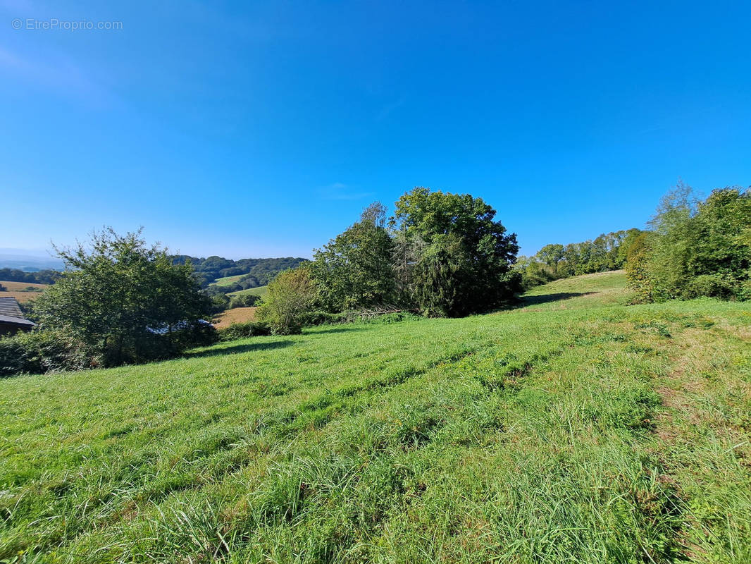 Terrain à SAUVETERRE-DE-BEARN