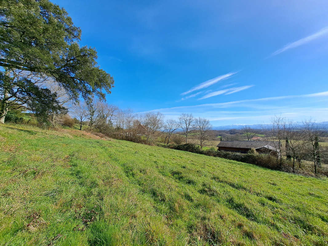 Terrain à SAUVETERRE-DE-BEARN