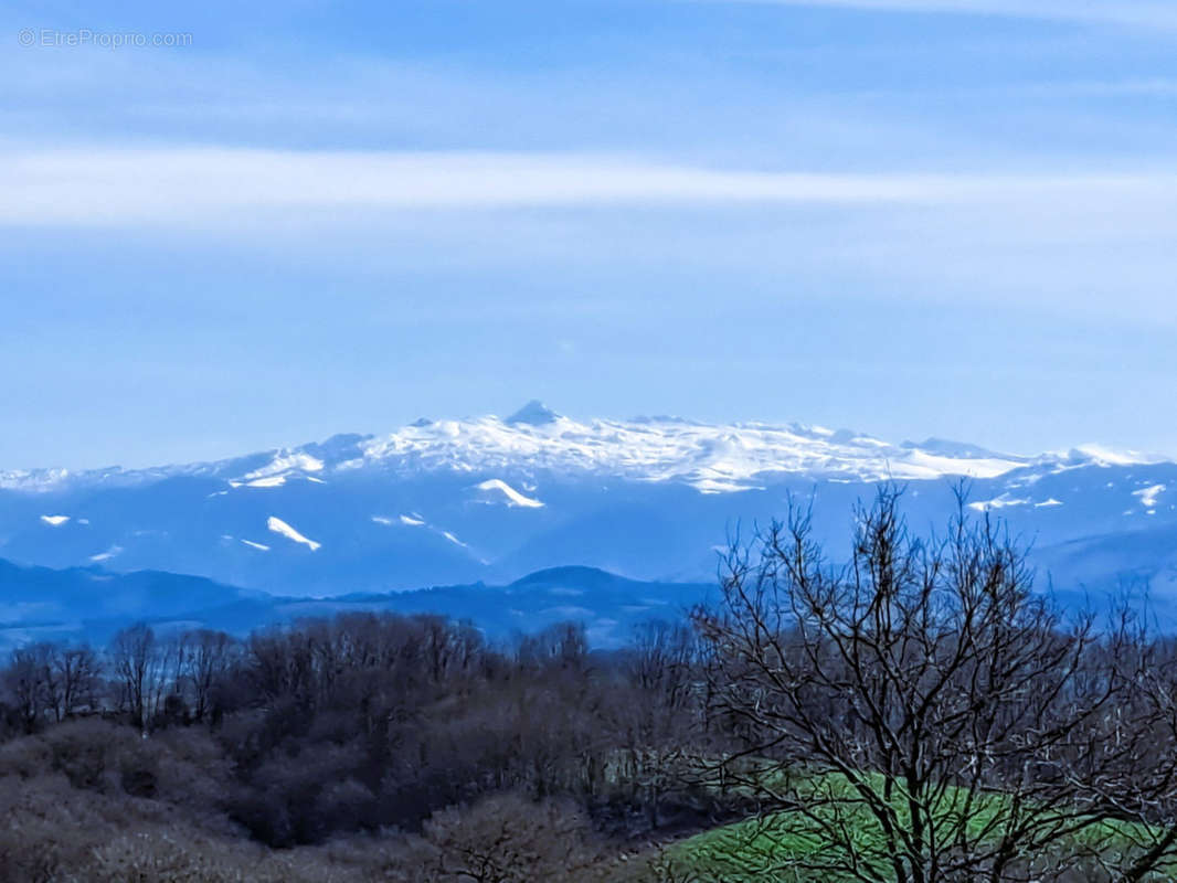 Terrain à SAUVETERRE-DE-BEARN