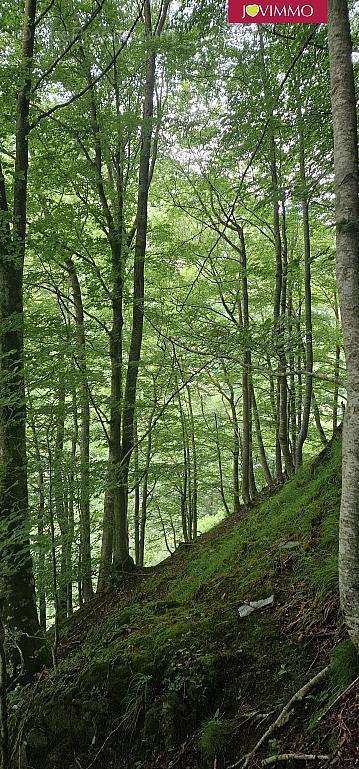 Terrain à ARRENS-MARSOUS