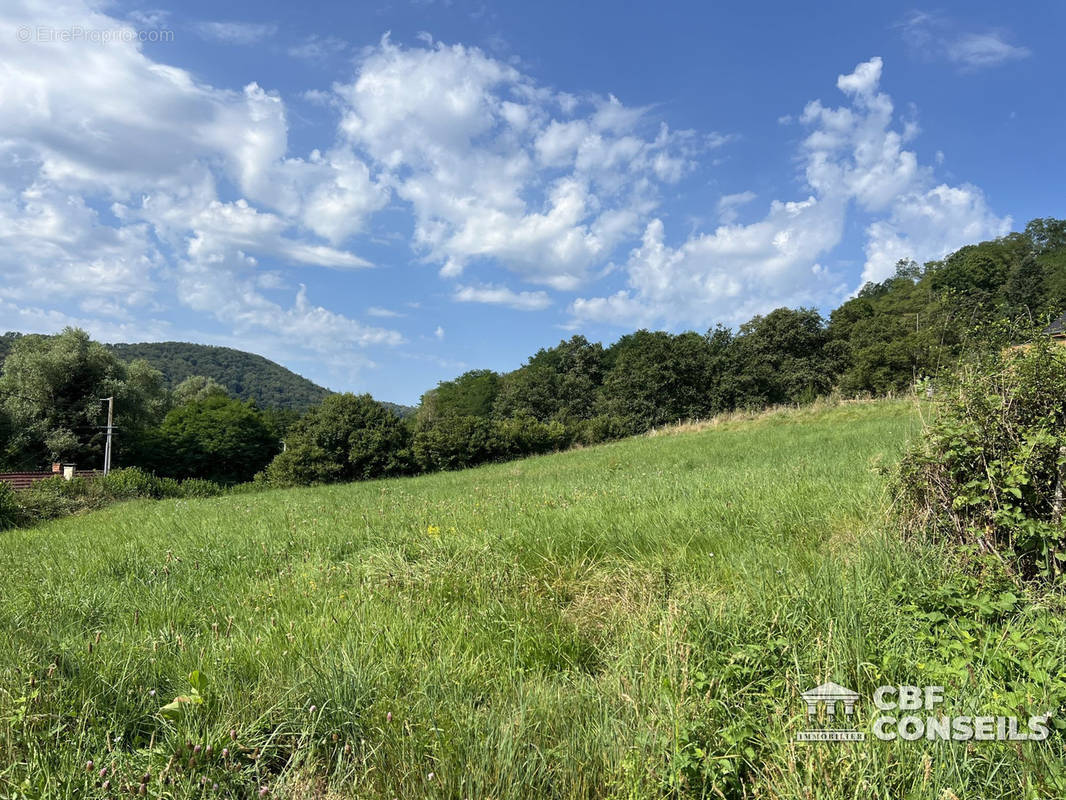 Terrain à SAINT-SERNIN-DU-BOIS