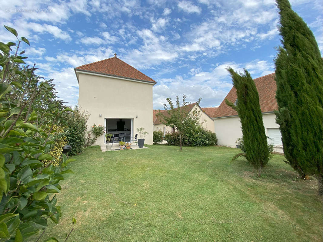 Maison à CHOUZY-SUR-CISSE