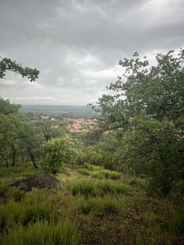 Terrain à MONTESQUIEU-DES-ALBERES