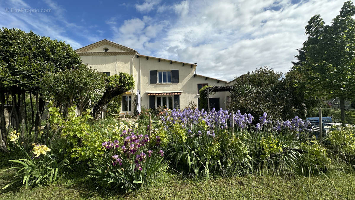 Maison à MONTVENDRE