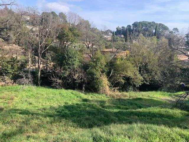 Terrain à MOUGINS