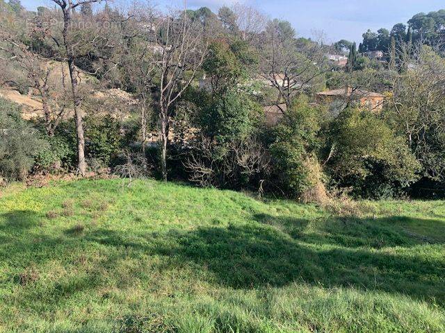 Terrain à MOUGINS