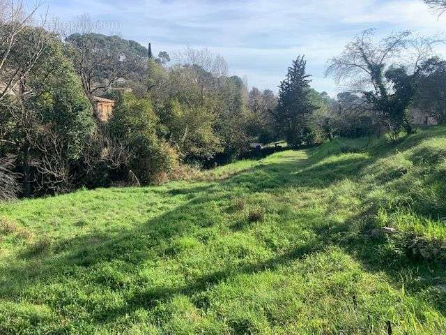 Terrain à MOUGINS