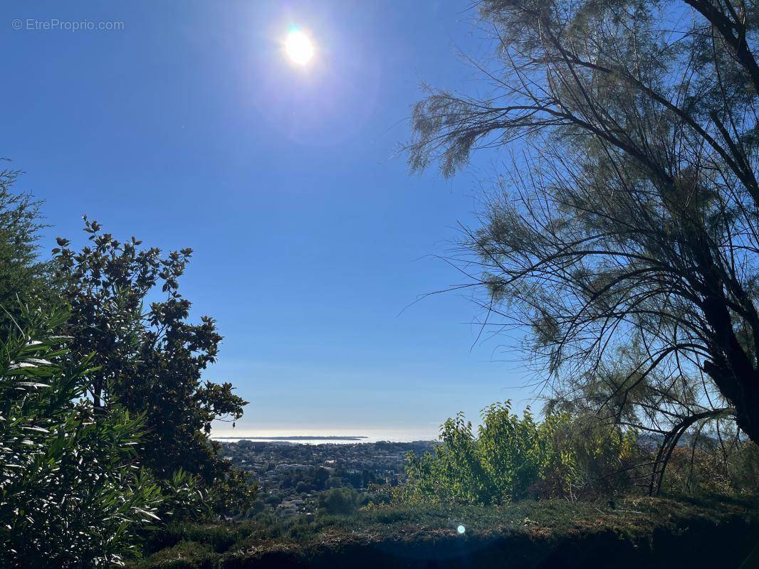 Appartement à MOUGINS