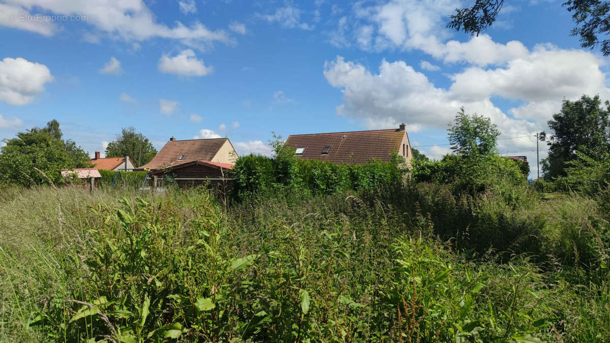 Maison à EPERLECQUES