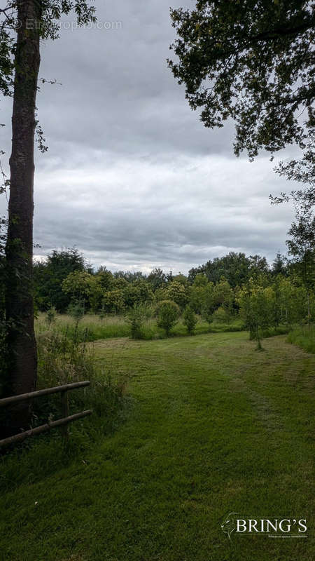 Terrain à ALENCON