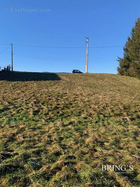 Terrain à LA CHAPELLE-DEVANT-BRUYERES