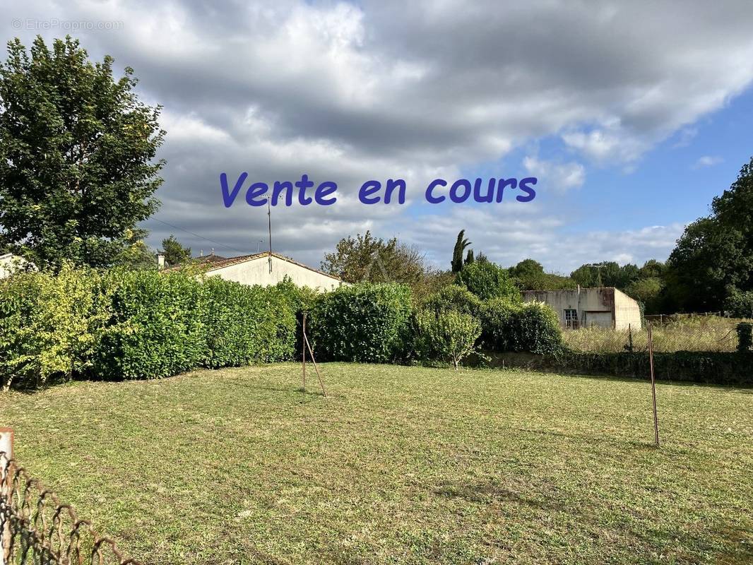 Terrain à CHATEAUNEUF-SUR-CHARENTE