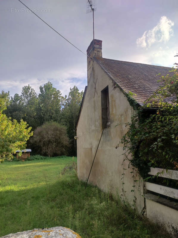 Maison à SAINT-PHILBERT-DU-PEUPLE