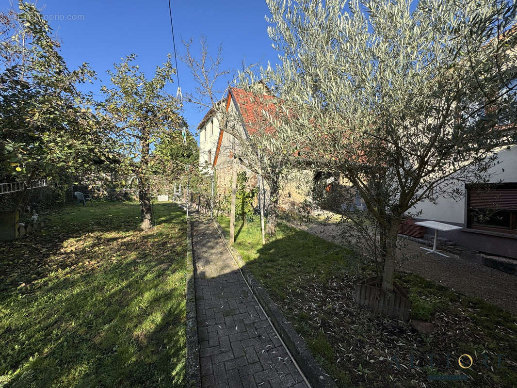 Maison à OBERMORSCHWIHR