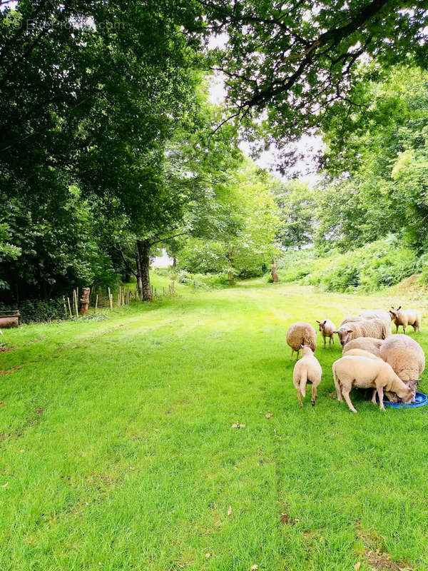 Terrain à LA GAUBRETIERE