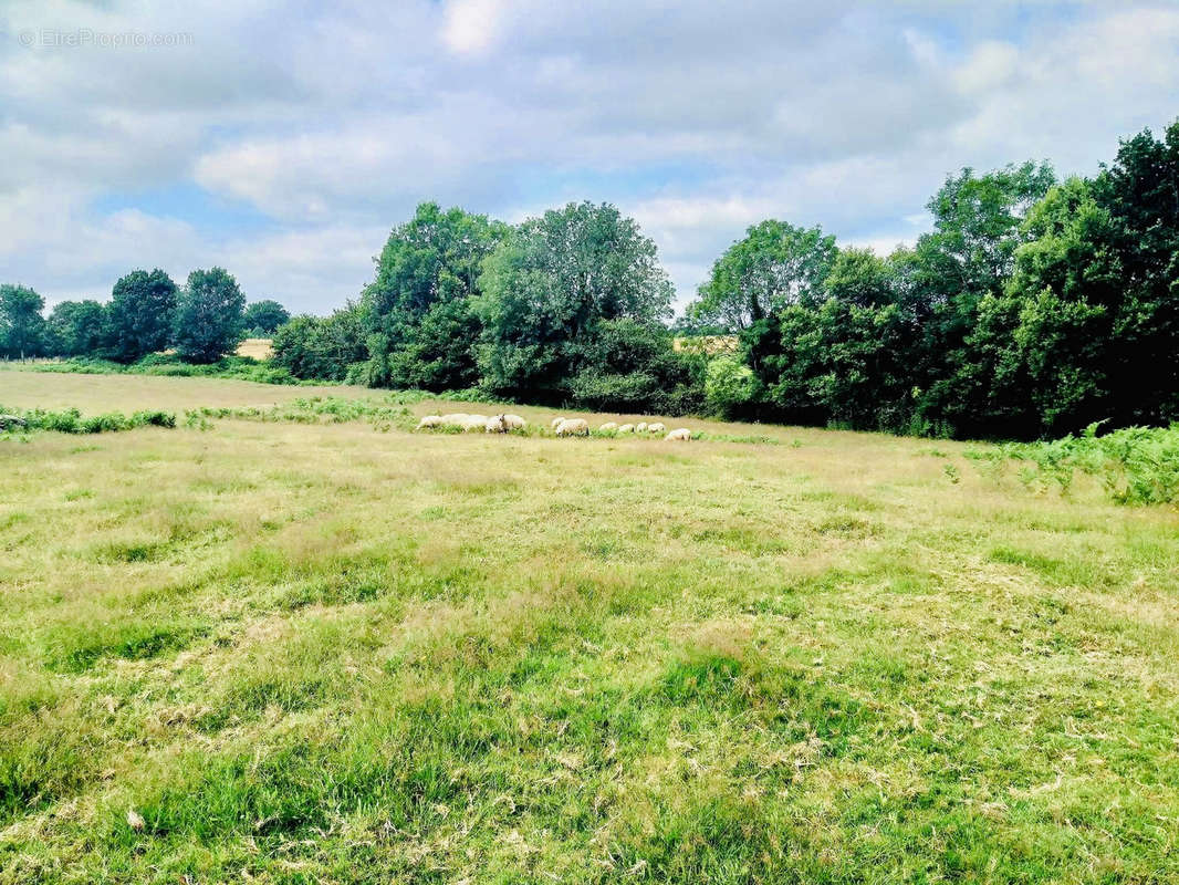 Terrain à LA GAUBRETIERE