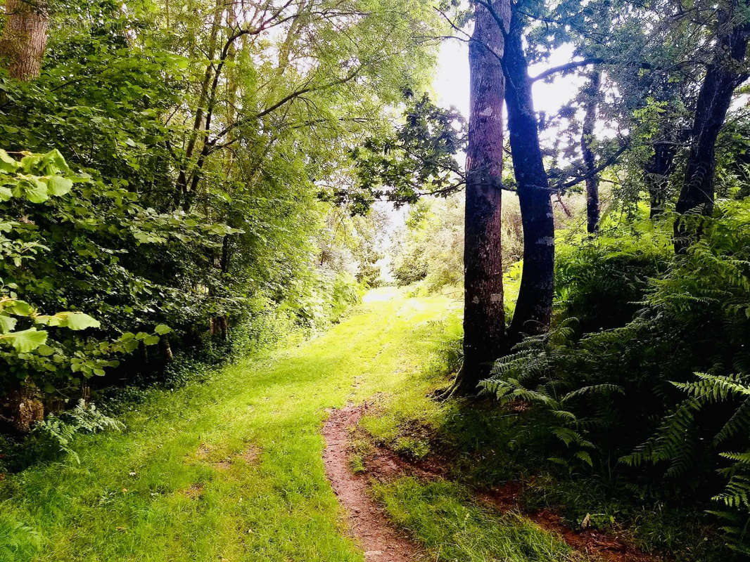 Terrain à LA GAUBRETIERE