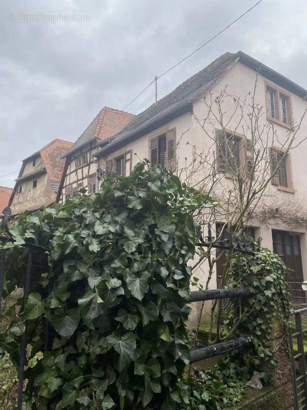 Appartement à WISSEMBOURG