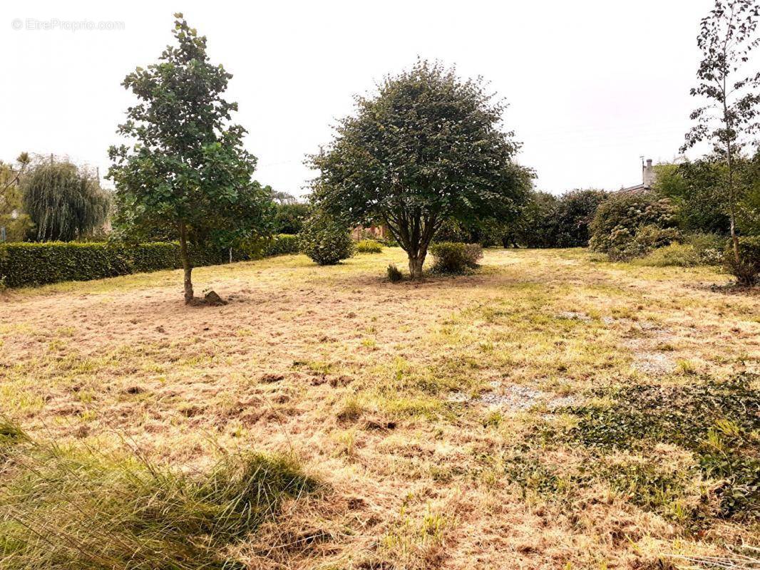 Terrain à TELGRUC-SUR-MER