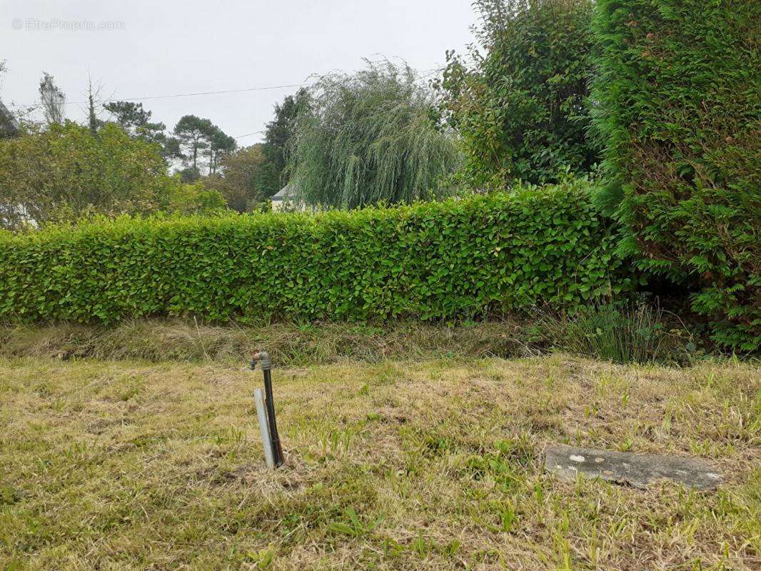 Terrain à TELGRUC-SUR-MER