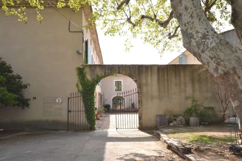 Commerce à AVIGNON