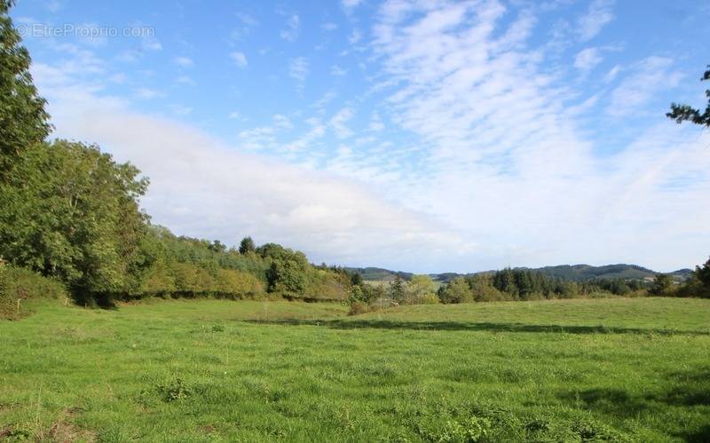 Terrain à LA CLAYETTE