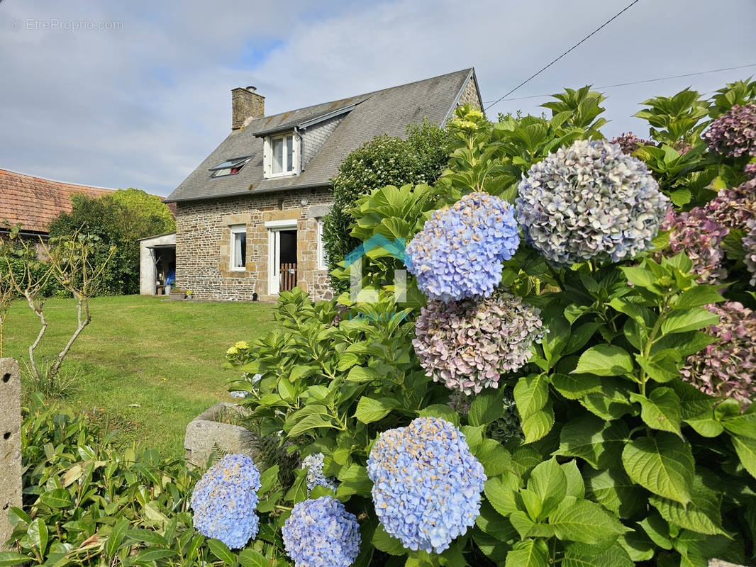 Maison à SAINT-OVIN