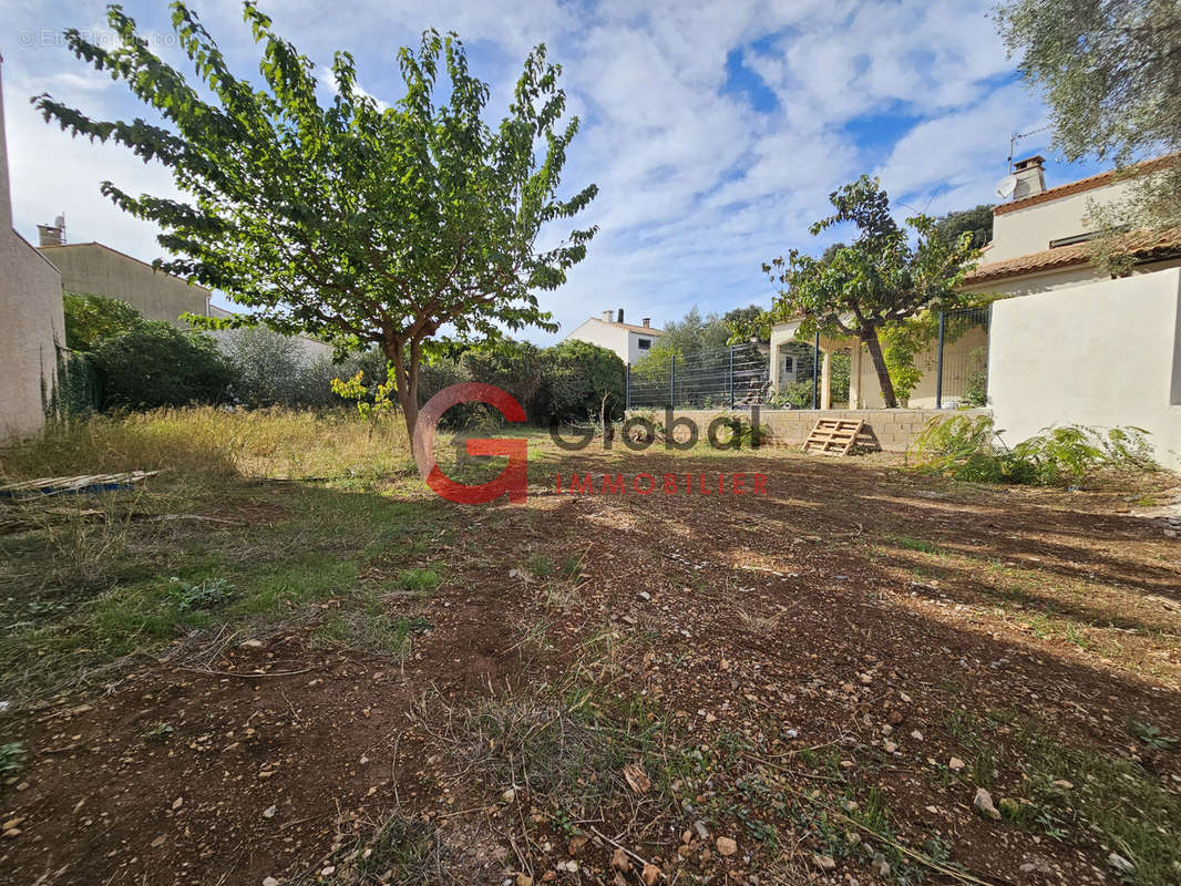 Maison à FRONTIGNAN